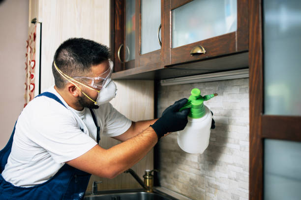 Best Best Pest Control Companies  in Farmingville, NY