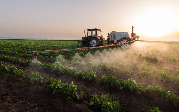 Best Exterminator Services  in Farmingville, NY