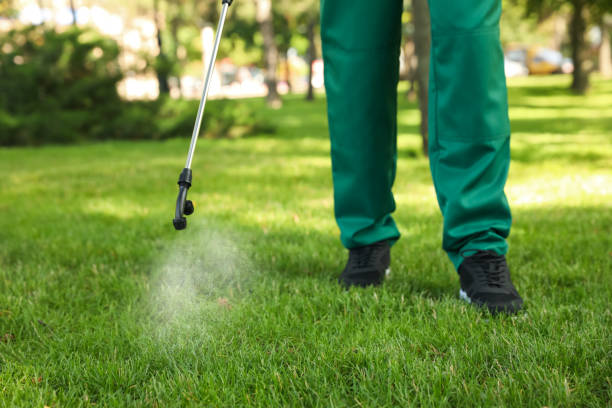 Best Rat Extermination Near Me  in Farmingville, NY