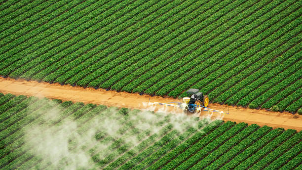 Insect Control in Farmingville, NY