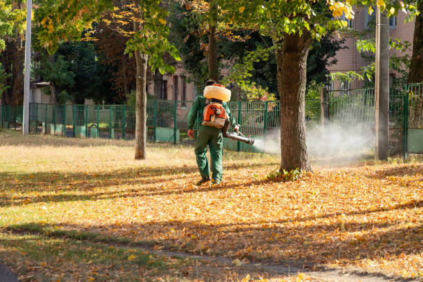 Best Spider Control Near Me  in Farmingville, NY
